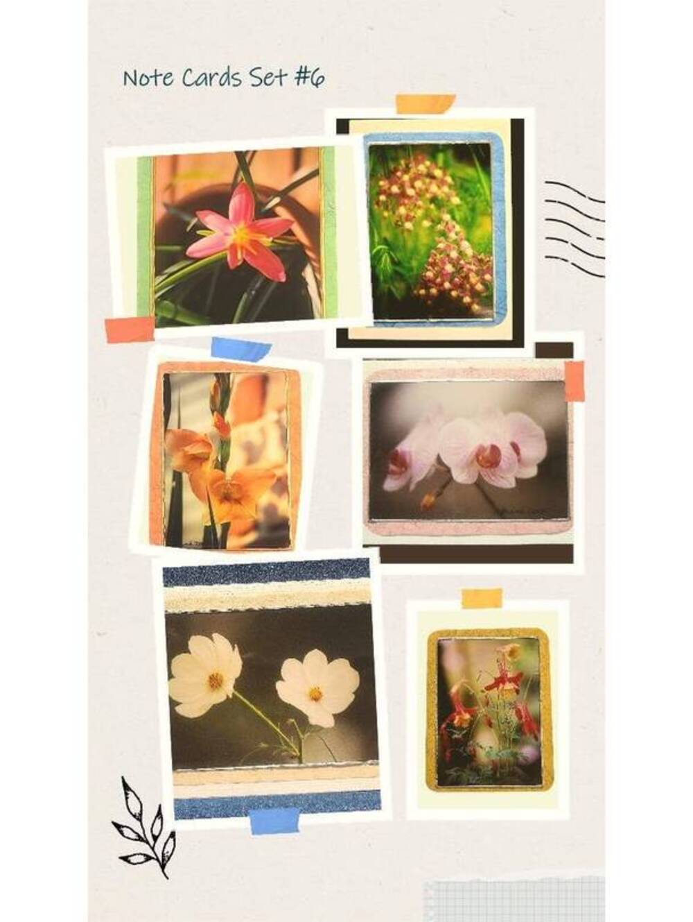 Flower Photo Note Cards: Set of 6, Gold Seals & Envelopes